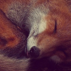 Наталия Хорошева, 15.05, Санкт-Петербург