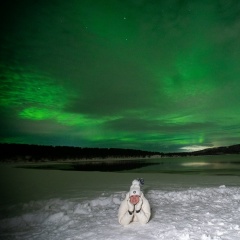 Наталья , 25.05.1988, Редкино