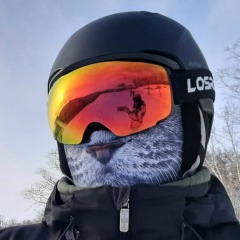 Сергей Серёгин, Санкт-Петербург