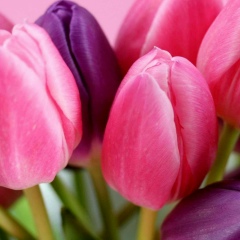 Мила Милая, 30.09.1980, Уфа