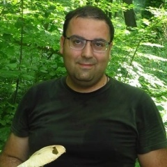 Гавриил Мелькумов