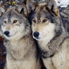 Маргарита Васильева, Чебоксары