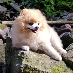 Ирина Мордашова, 27.11.1987, Москва