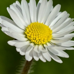 Лола Соколова, 27.05.1994, Москва