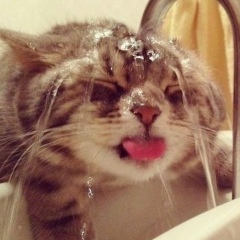 Родион Плотников, 14.04.1990, Днепр (Днепропетровск)