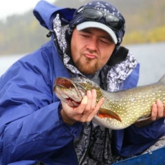 Алексей Фетисов, Москва