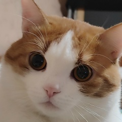 Лиана Юсупова, 15.10.1989, Москва