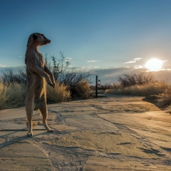 Marat Gimadeev, 25.07, Казань