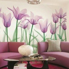 Динара Назарова, Санкт-Петербург