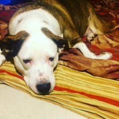 Александр Клочков, 13.06, Санкт-Петербург