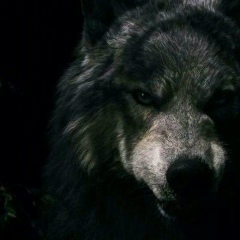 Darmen Zhekenov, 04.02.1996, Алматы