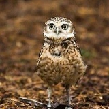 Марина Аникеенок, 30.11.1982, Казань