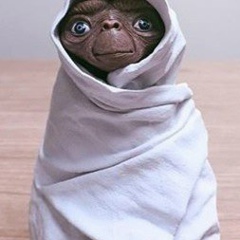 Яна Шошина, 03.01, Москва