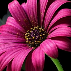 Людмила Римар, 01.01