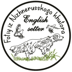 Кирилл Артамонов, 02.08