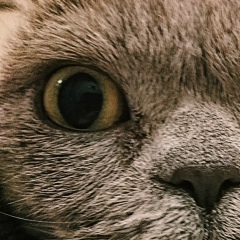 Анна Кислицына, 20.08.1988, Севастополь