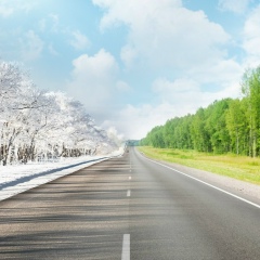 Димитрий Николаев, Орёл