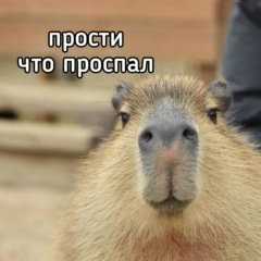 Данияр Абдрахманов, 07.10.1987, Алматы