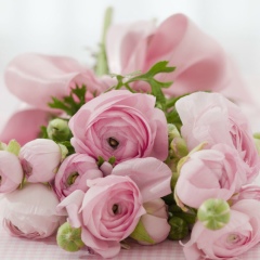 Диана Хасанова, 24.10, Набережные Челны