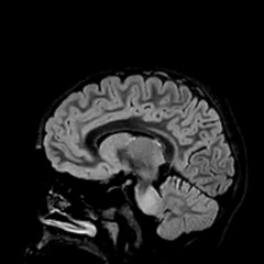 Магомед Далгатович, 29.07.1988, Санкт-Петербург