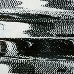 Александр Мартьянов, 17.04, Киров