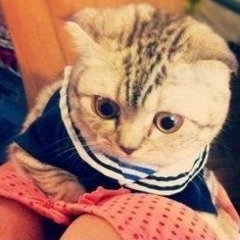 Дима Новик, 28.03.1986, Киев