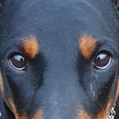 Александр Сутырин, 05.05, Санкт-Петербург