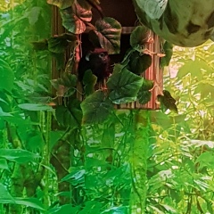 Елена Владимировна Пучек, 01.04, Тюмень