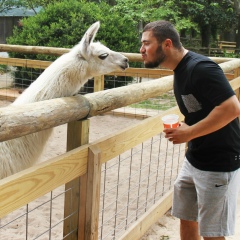 Andrei Kapanji, 13.09