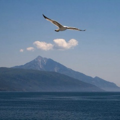 Андрей Ларионов, 28.05, Санкт-Петербург