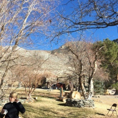 Anastasiya Hardie, Gilbert