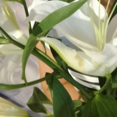 Ирина , 16.08, Санкт-Петербург
