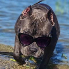 Ирина Борденюк, Новый Уренгой