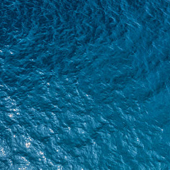 Анна Кудряшова, Москва