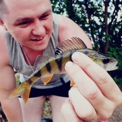 Михаил Сидоров, 02.05.1990, Оленино