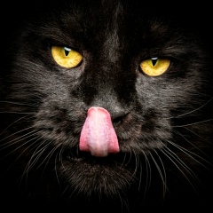 Влад Москвин, 13.09.1989, Москва