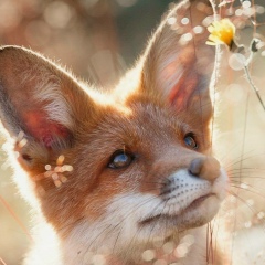 Дмитрий Баев, 26.07.1978, Уфа