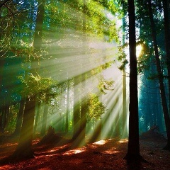 Армен Апоян, 11.11.1985, Харьков