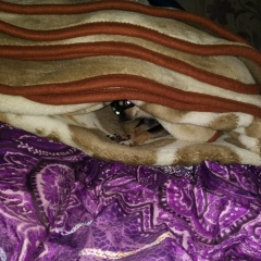 Серега Киселев, 30.08, Санкт-Петербург