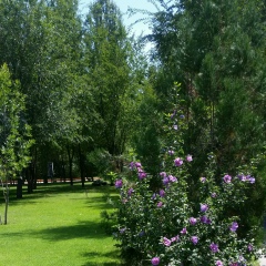 Жанна Исмаилова, 26.03, Алматы