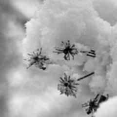 Анна Фуфачева, 13.09, Киров