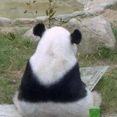 Дарья Глухова, 20.05.1989, Москва