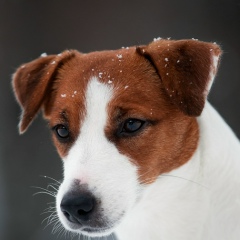 Людмила Султанова, 20.01, Санкт-Петербург