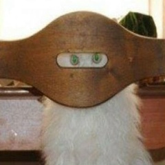 Артём Погорелов, 17.01, Алматы