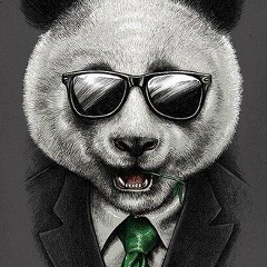 Андрей Белый, 22.05.1997, Москва