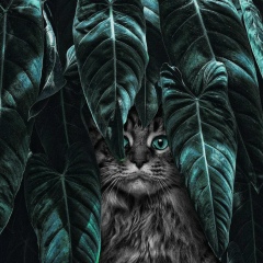 Елена Дементьева