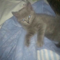 Мария Майорова, 05.01.1989, Москва