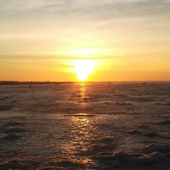 Елена Некрасова, 26.02.1982, Санкт-Петербург