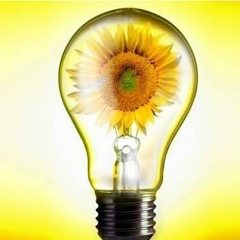 Евгений Жуков, 06.08.1981, Санкт-Петербург