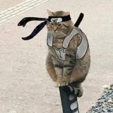 Рушан Мусеев, 05.09.1992, Баку